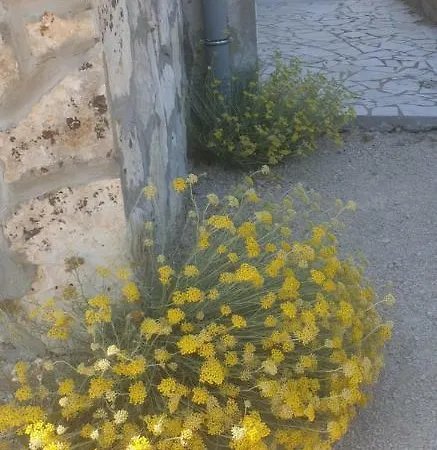 Apartman Kapulice Supetarska Draga